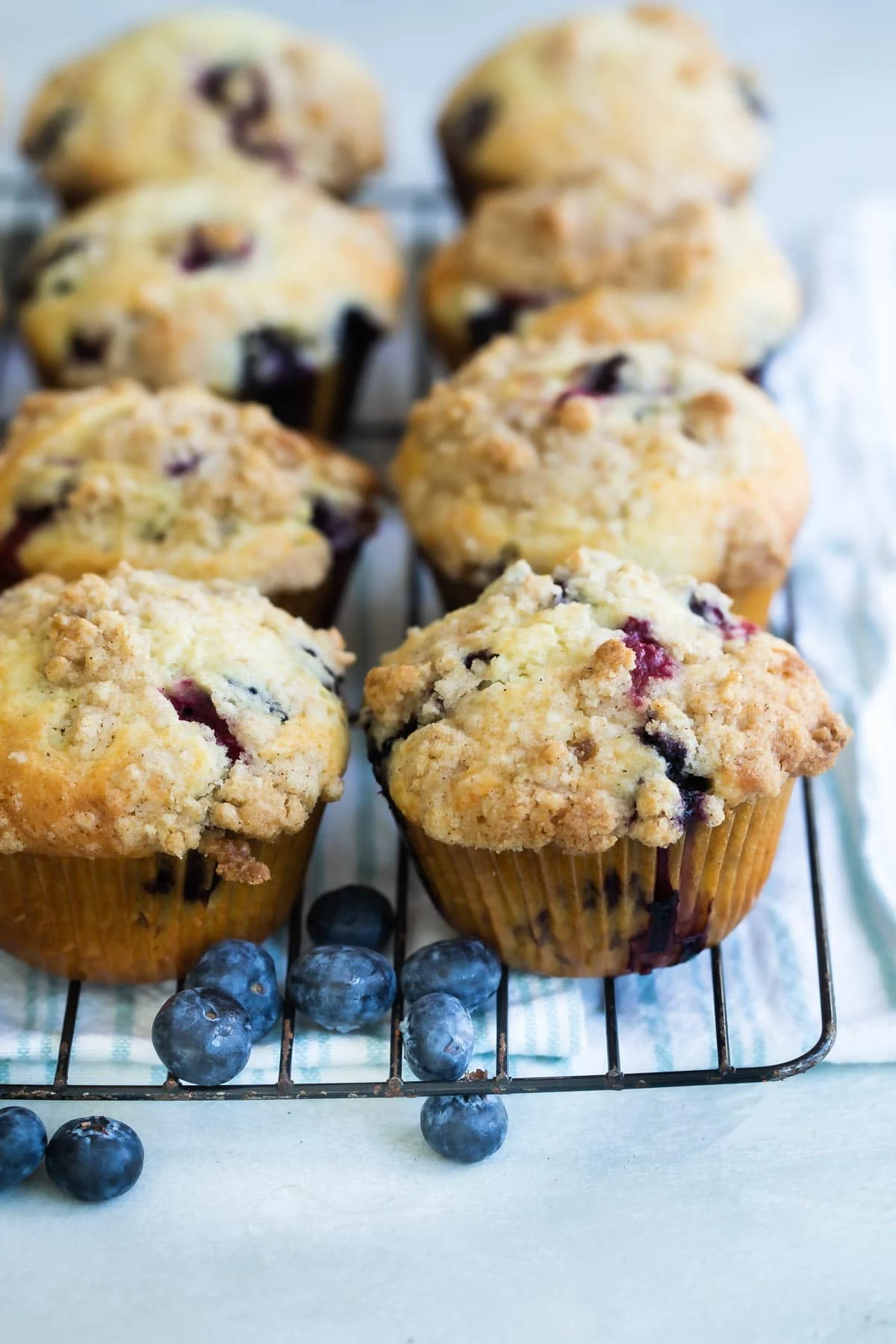Blueberry Muffins
