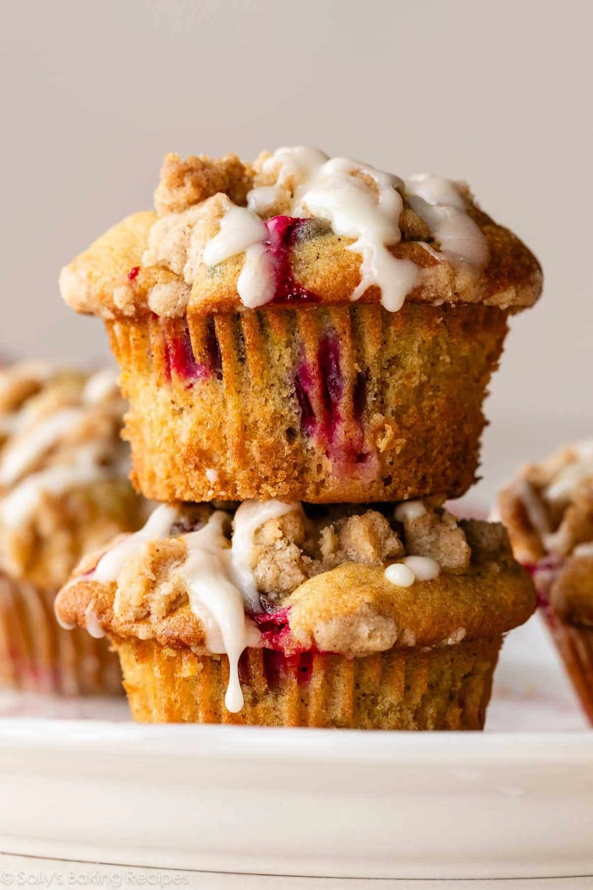 Cranberry Orange Muffins